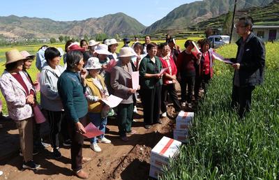 武山 統(tǒng)防統(tǒng)治為糧食生產(chǎn)“保駕護(hù)航”