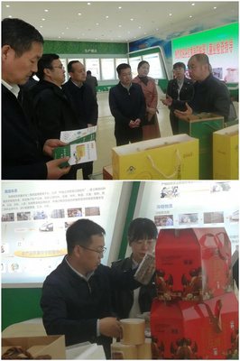 省農(nóng)業(yè)農(nóng)村廳赴陳倉區(qū)慕儀鎮(zhèn)調(diào)研 聚焦農(nóng)作物產(chǎn)業(yè)發(fā)展，助推農(nóng)業(yè)現(xiàn)代化升級