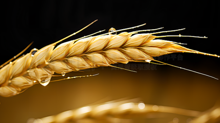 農(nóng)作物廣告素材寶庫(kù) 海量圖片免費(fèi)下載，助力農(nóng)業(yè)營(yíng)銷